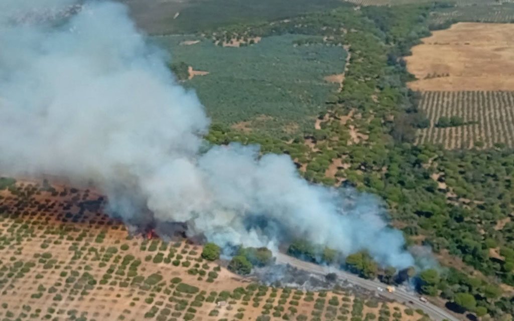 Un incendio en Almonte obliga a cortar la A-474