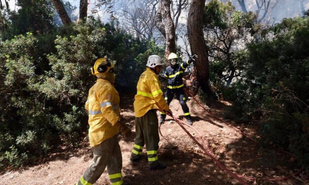 Declarado un incendio forestal en Bonares