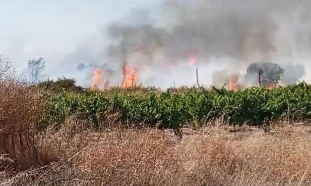 Detienen al presunto autor de varios incendios forestales en Bollullos