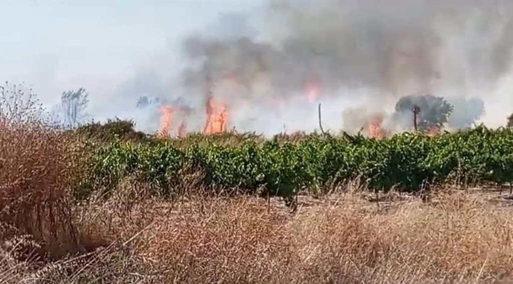 Detienen al presunto autor de varios incendios forestales en Bollullos