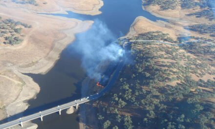 Declarado un incendio forestal en Corteconcepción