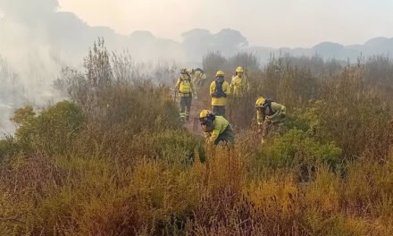 Declarado un incendio forestal en Moguer