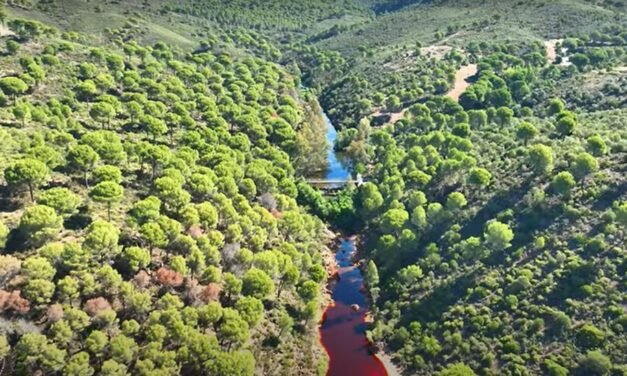 Nerva y la mágica fusión del verde con el rojo