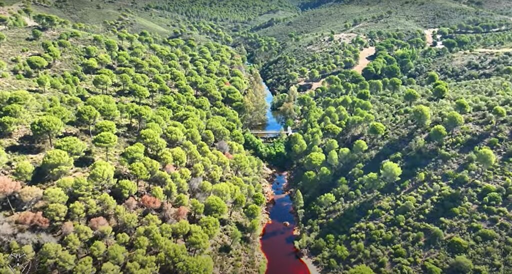 Nerva y la mágica fusión del verde con el rojo