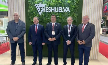 Freshuelva traslada a las instituciones las inquietudes del sector de los frutos rojos de Huelva