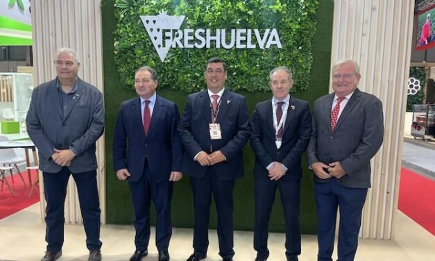 Freshuelva traslada a las instituciones las inquietudes del sector de los frutos rojos de Huelva