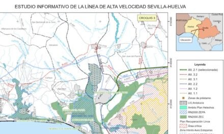 El AVE tendrá parada en La Palma y conectará con Madrid desde Majarabique