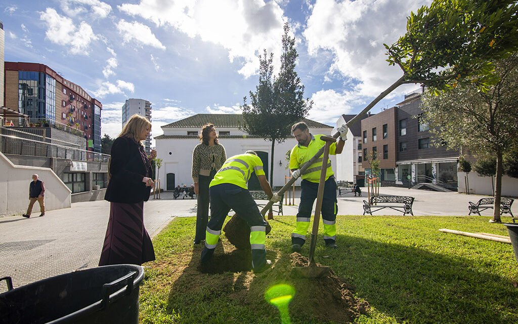 Huelva recupera todos los árboles que perdió en la borrasca ‘Bernard’