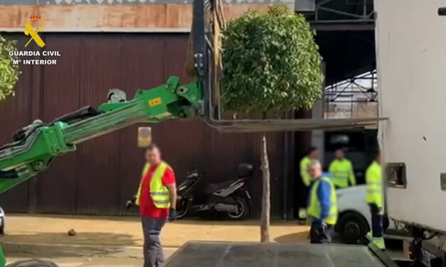 Detienen a una persona por el robo de gran cantidad de aceite en Zalamea