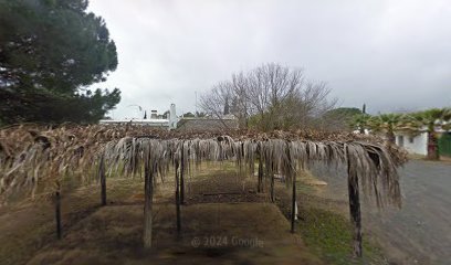 El OCIb instalará un Bosque de la Poesía en Cartaya