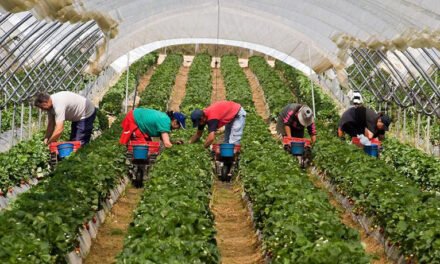 Huelva cierra noviembre con más de 5.000 parados menos que hace un año