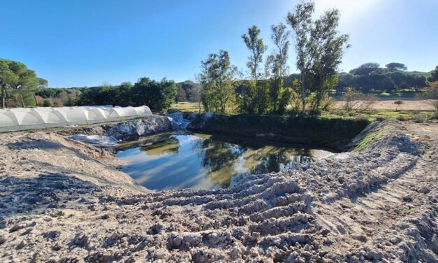 La CHG detecta tres excavaciones para la extracción ilegal de agua en Almonte