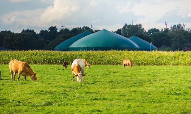 Moeve desarrollará 30 plantas de biometano con una inversión de 600 millones
