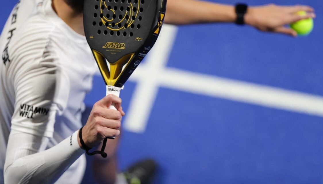 Top 10 palas de control del mercado