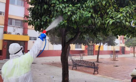 Nuevo método para controlar las plagas de insectos en los naranjos de Huelva