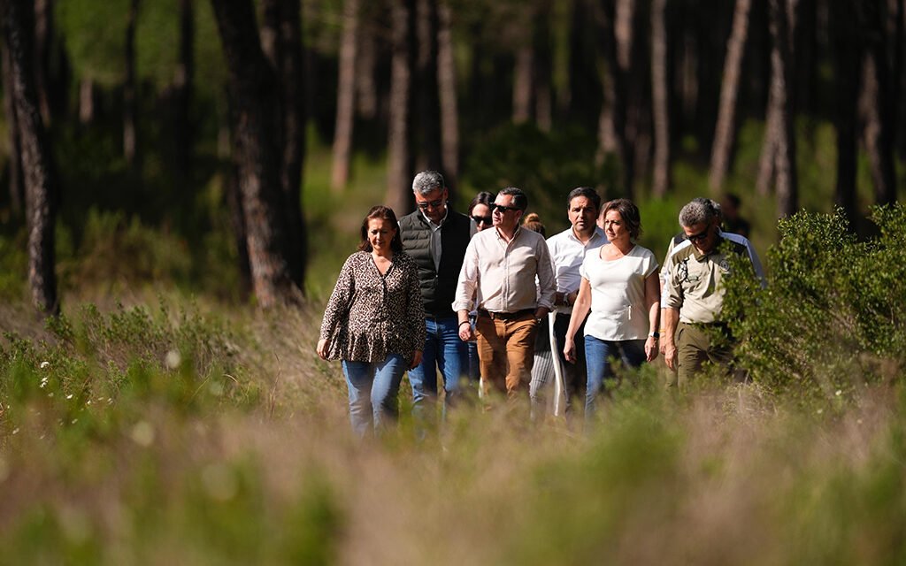 Las lluvias reactivan la marisma en Doñana