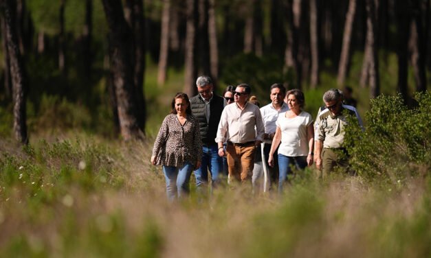 Las lluvias reactivan la marisma en Doñana