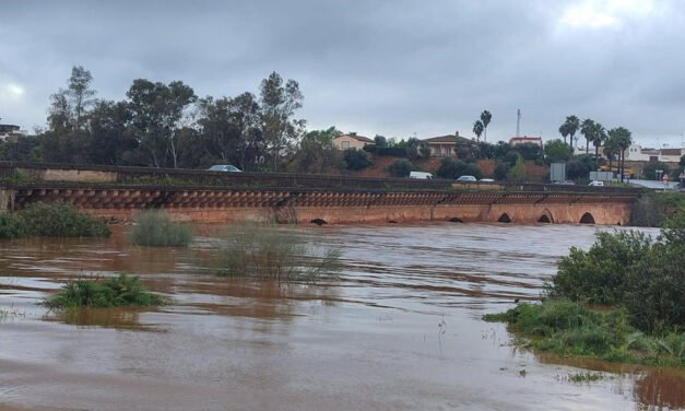 Alertan de una «notable» crecida del Tinto