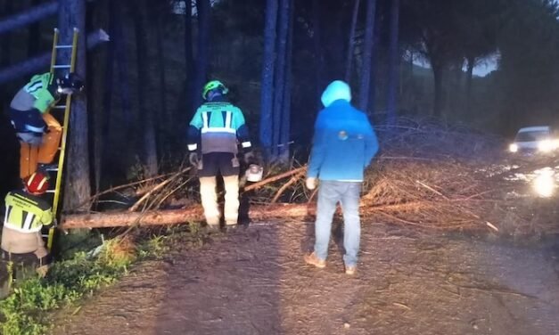 Bomberos despejan el camino de Jabata por la caída de árboles