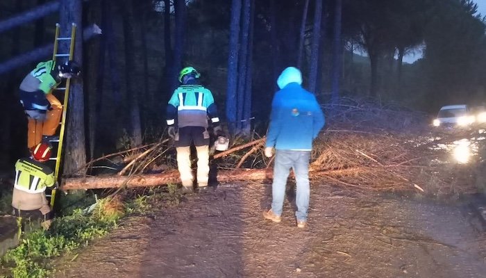 Bomberos despejan el camino de Jabata por la caída de árboles