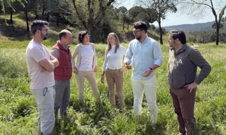 Higuera de la Sierra recupera unos terrenos cedidos en 1967 y trabaja en su gestión