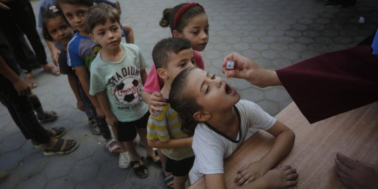 La Diputación destina 25.000 euros a la población vulnerable de la Franja de Gaza