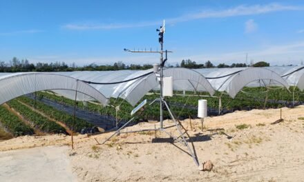 La CR Palos incorpora una nueva estación meteorológica vinculada al CSIC