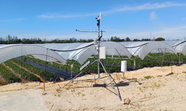 La CR Palos incorpora una nueva estación meteorológica vinculada al CSIC