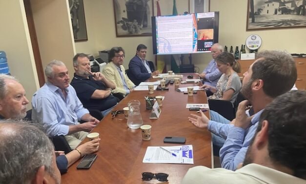 La producción de uva se desploma a la mitad por el voraz ataque del Mildiu