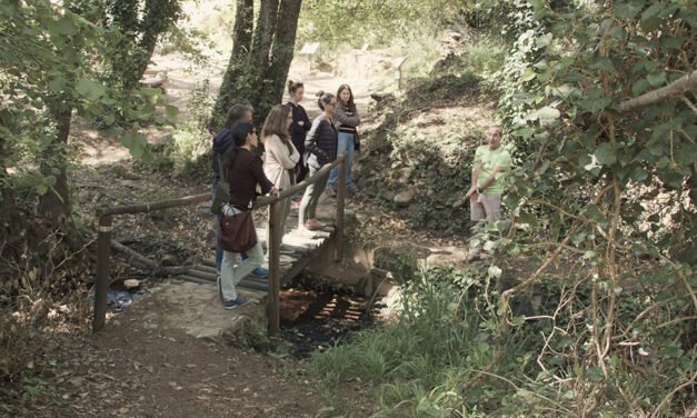 Licitada la plantación de 900 árboles en la Cuenca Minera