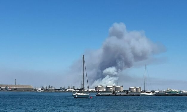 Enorme columna de humo por un incendio forestal en Moguer