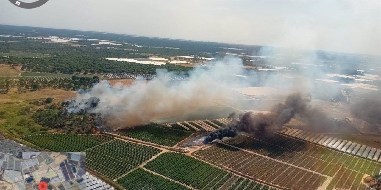 Declarados dos incendios forestales en Lucena en menos de tres horas