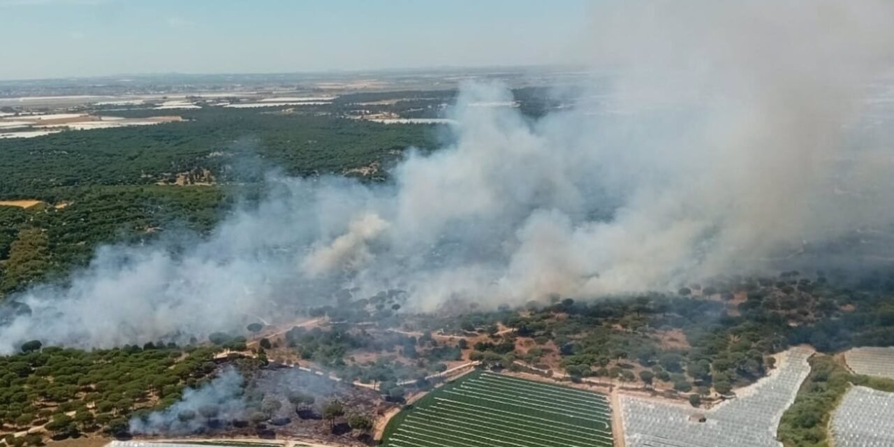 Nuevo incendio en Moguer en una zona próxima al anterior