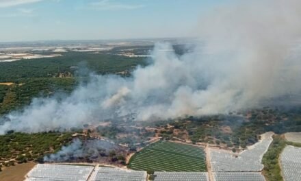 Nuevo incendio en Moguer en una zona próxima al anterior