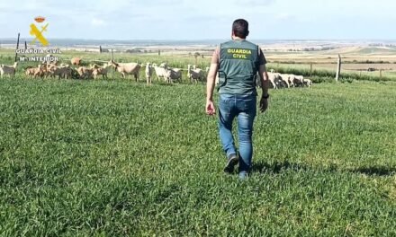 Cinco detenidos por robar 48 ovejas y 115 gallinas en pueblos del Condado