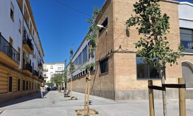El Ayuntamiento planta 430 nuevos árboles en Huelva
