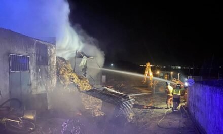 Un bombero herido en el incendio de una nave agrícola en La Redondela