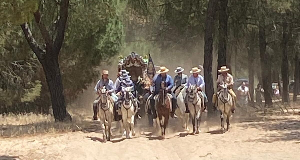 Atendidas 484 incidencias desde la activación del Plan Romero