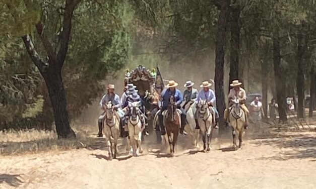 Atendidas 484 incidencias desde la activación del Plan Romero