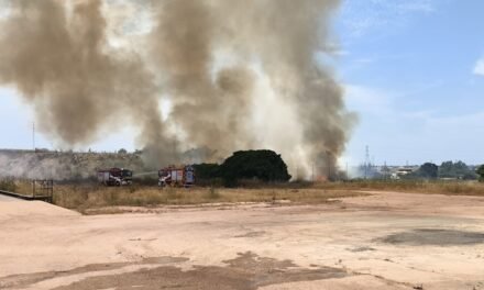 Un incendio calcina dos hectáreas de terrenos cercanos a una zona logística de Gibraleón
