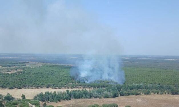 El Infoca lucha contra un incendio en un paraje de Almonte