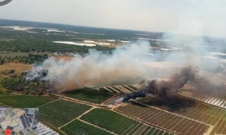 Un nuevo incendio en Lucena afecta a otro asentamiento