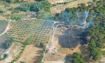 Lucena del Puerto sufre su sexto incendio en 10 días