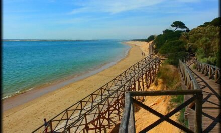 Ofertas de empleo en la provincia de Huelva