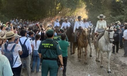 Fallece la anciana arrollada por una mula desbocada en El Rocío