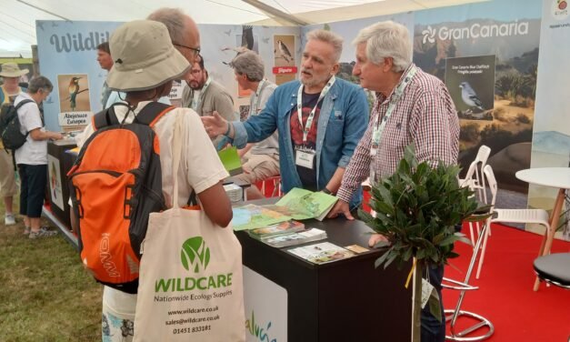 Huelva se posiciona como destino ornitológico