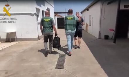 Detenidas 14 personas por robos con violencia en supermercados de Huelva