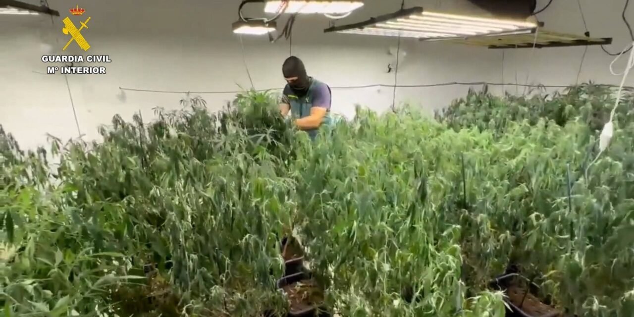 Un incendio por sobrecarga eléctrica destapa un centro de producción de marihuana en Gibraleón y Trigueros