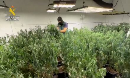 Un incendio por sobrecarga eléctrica destapa un centro de producción de marihuana en Gibraleón y Trigueros