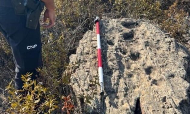 Hallan 15 grabados rupestres en un yacimiento de la Costa